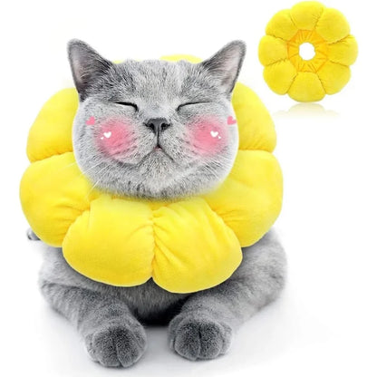 Sunflower Recovery Collar for Cats