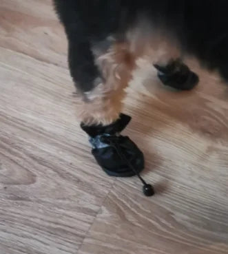 Waterproof Pet Rain Boots Set