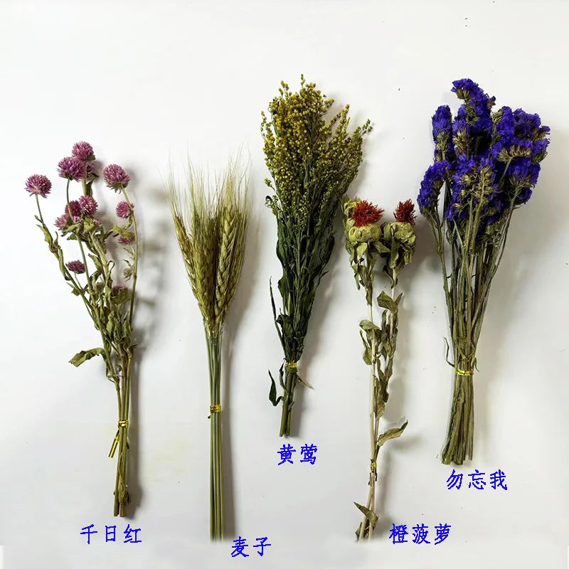 Natural Dried Flower Habitat Decor for Small Pets
