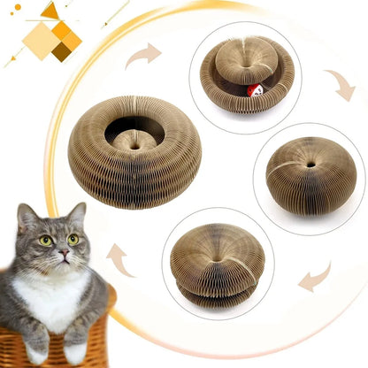 Magic Cat Scratch Ball Board Toy