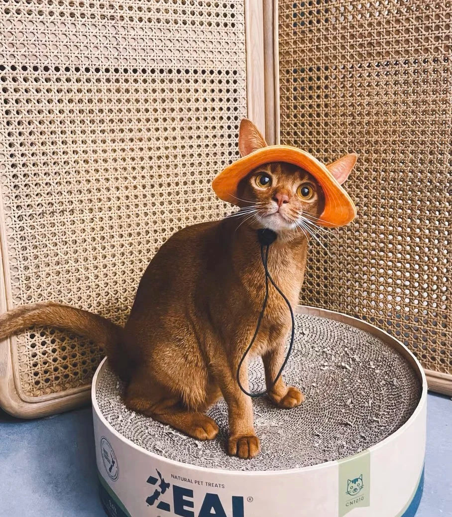 Adjustable Cotton Cat Sun Hat