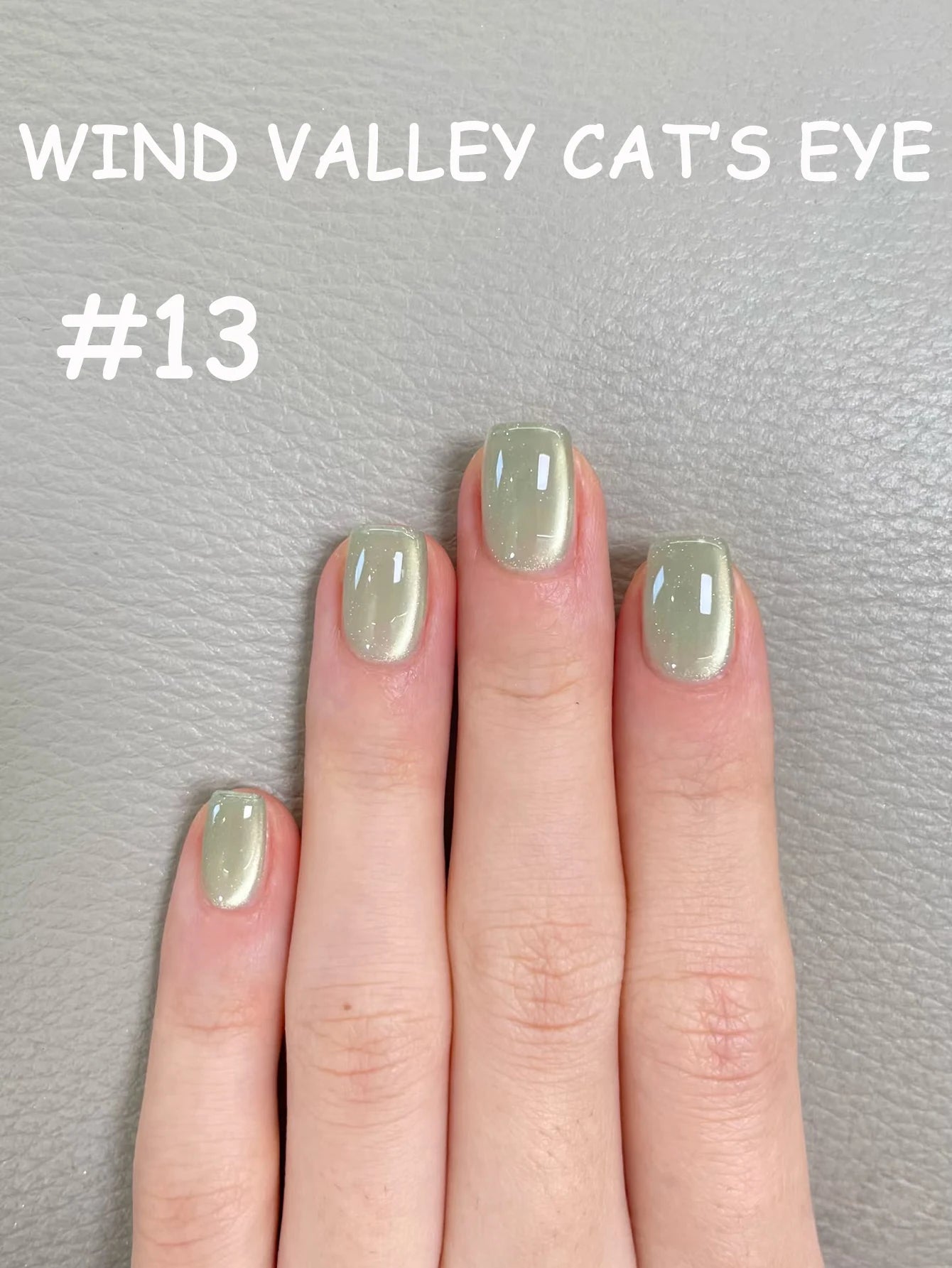 ZH Golden Cat Magnetic Gel Polish