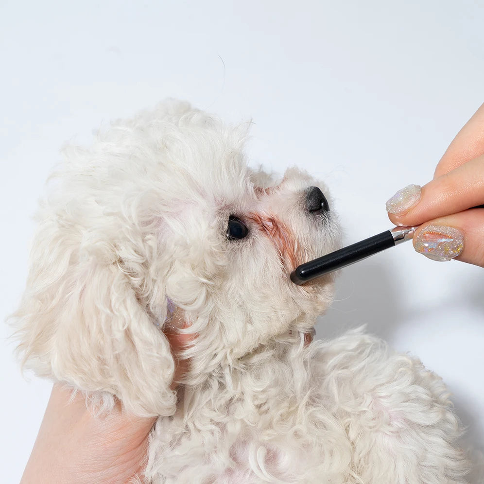 Pet Facial Cleaning Comb Set