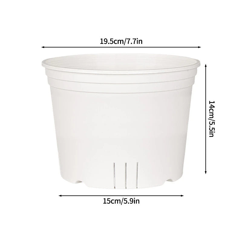 Transparent Nursery Plant Pot