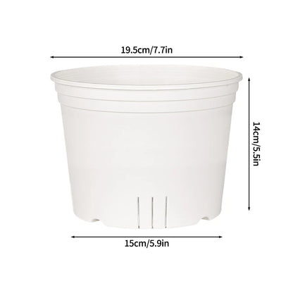 Transparent Nursery Plant Pot