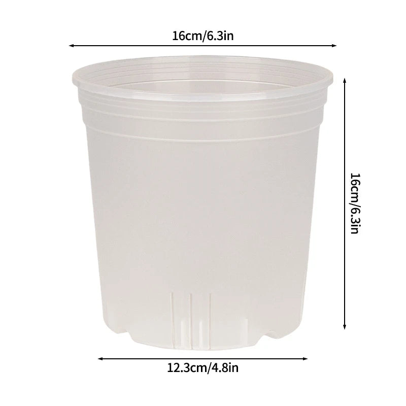 Transparent Nursery Plant Pot