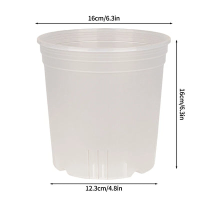 Transparent Nursery Plant Pot