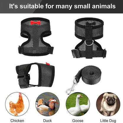 Adjustable Chicken Harness & Leash