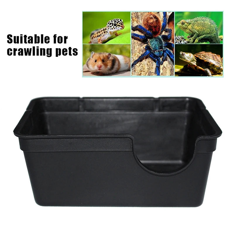Reptile Hideout Resting Cave