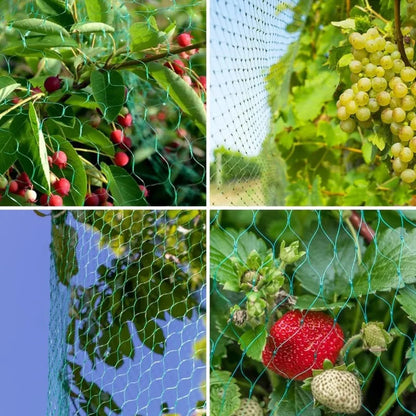 Garden Anti-Bird Netting Mesh for Fruit Trees, Vegetables, Crops & Ponds