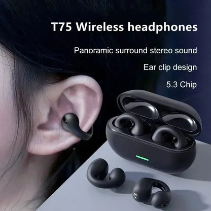 T75 Wireless Bluetooth Sports Earbuds with Charging Case