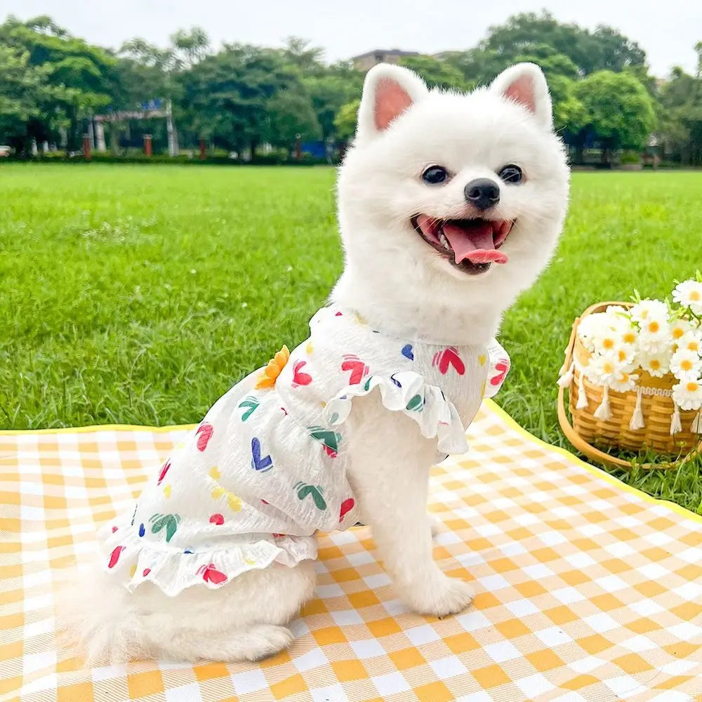 Polka Dot Princess Pet Dress for Cats & Small Dogs