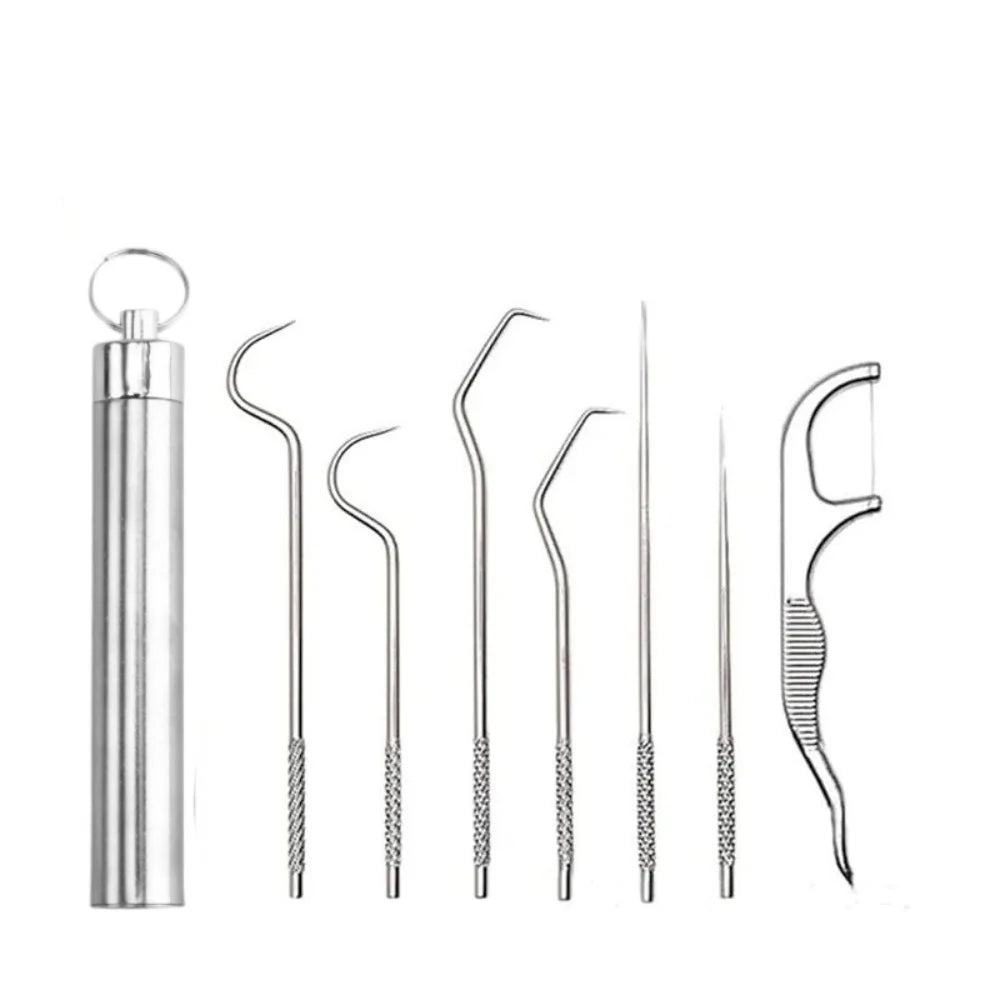 Reusable Stainless Steel Toothpick Set with Portable Storage Case