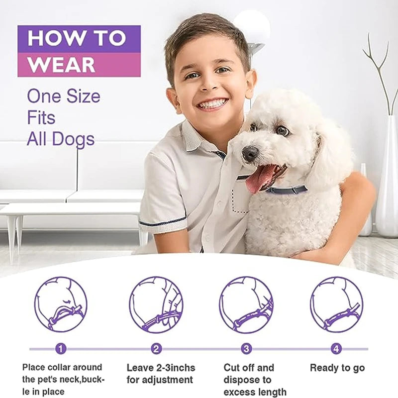 Calming Pheromone Collar for Dogs & Cats