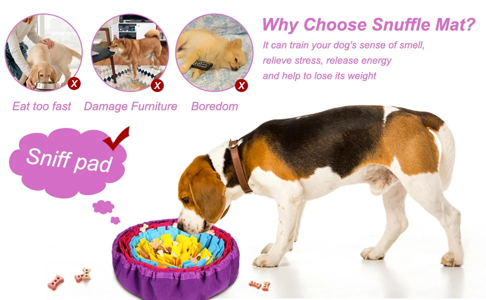 Flower Snuffle Feeding Mat