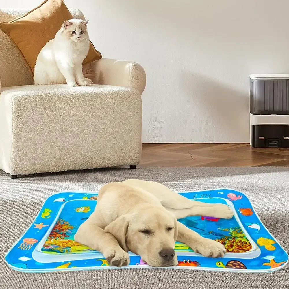 Pet Water Sensory Play Mat