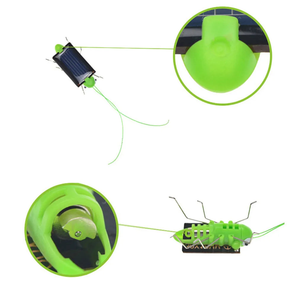 Solar Grasshopper Educational Toy
