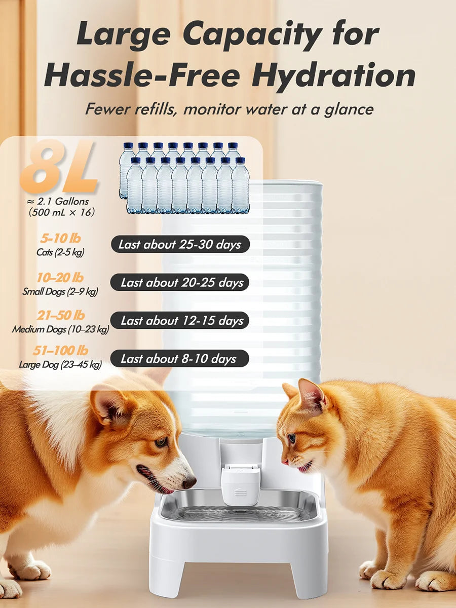 Furpipi 8L Elevated Automatic Pet Water Dispenser