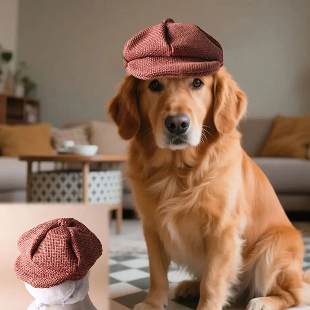 Retro Pet Beret Hat Costume Accessory