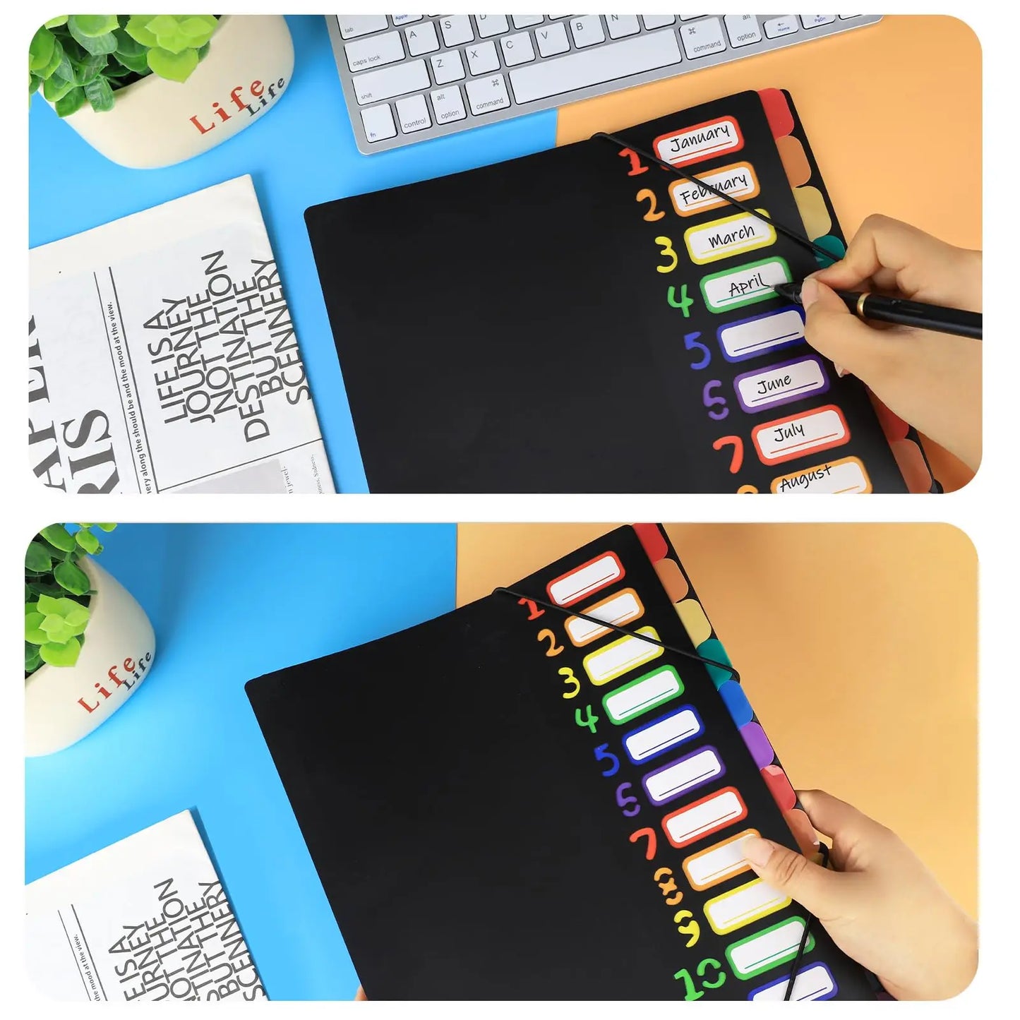 A4 Expanding File Folder with 12 Colour Tabs