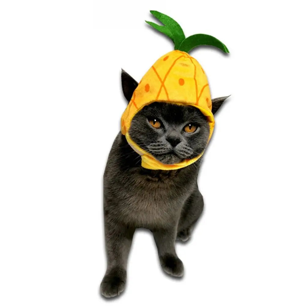 Cute Fruit Shape Pet Hat