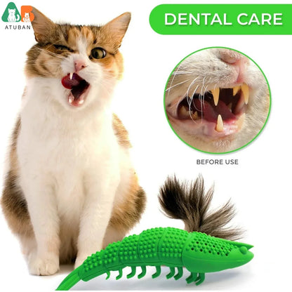Cat Toothbrush Toy