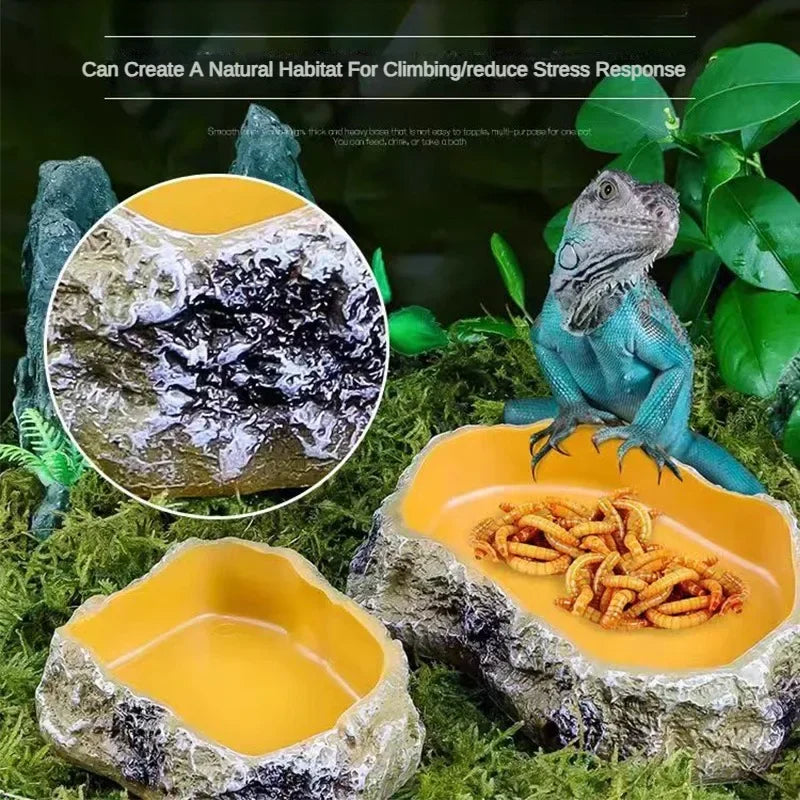 Reptile Water & Food Feeding Bowl