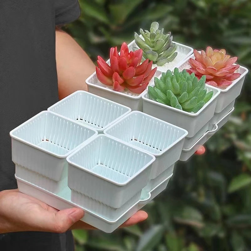 Breathable Mesh Nursery Pots for Succulents & Seedlings