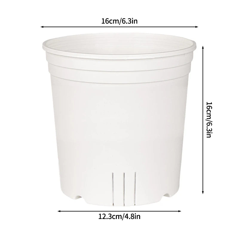 Transparent Nursery Plant Pot
