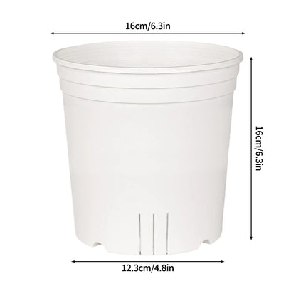 Transparent Nursery Plant Pot