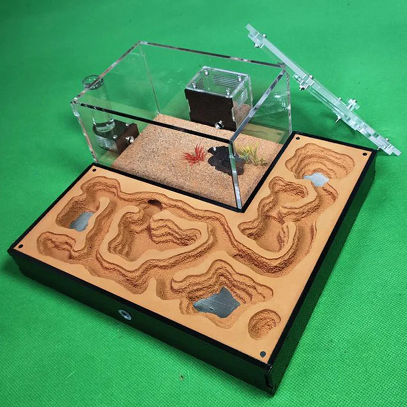 Large Acrylic Ant Farm with Gypsum Nest & Observation Arena