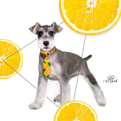 Dog Bow Tie Grooming Accessories Set