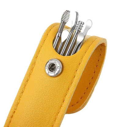 Stainless Steel Ear Wax Cleaner Set