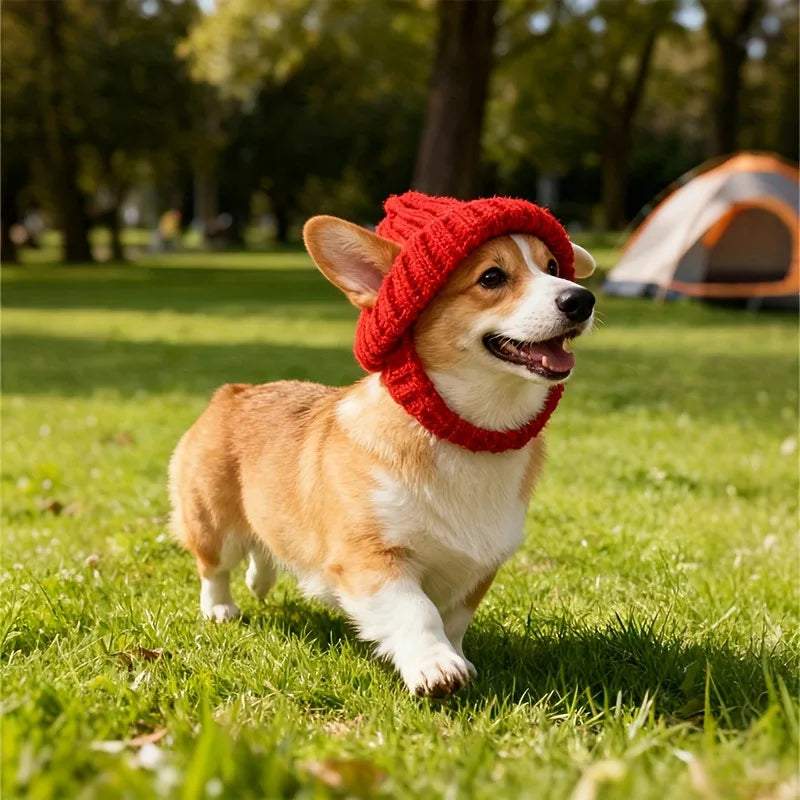 Winter Knitted Dog Hat for Small Dogs