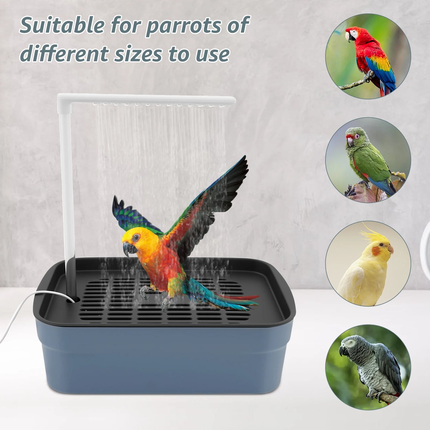 Automatic Bird Bath with Circulating Water Fountain