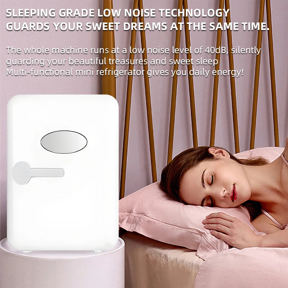 Portable Mini Refrigerator