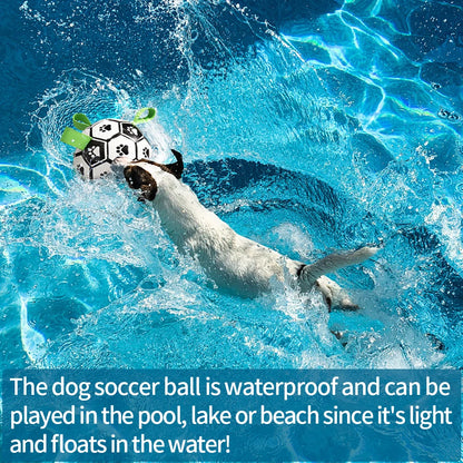 Dog Soccer Ball with Straps
