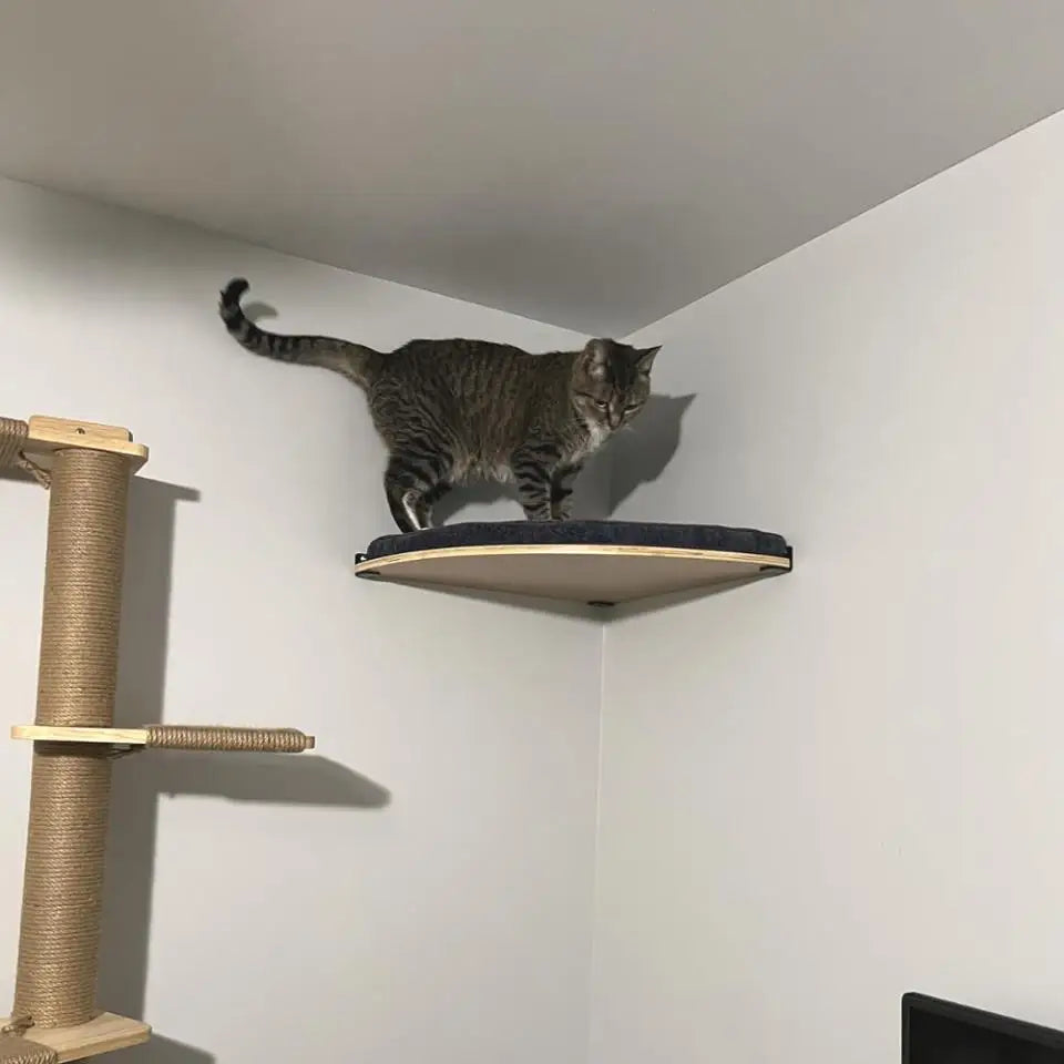 Wooden Wall-Mounted Cat Climbing Shelves & Play Set