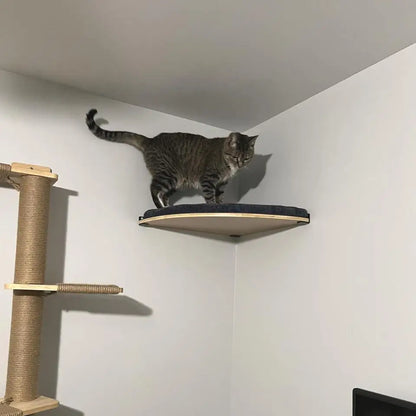 Wooden Wall-Mounted Cat Climbing Shelves & Play Set