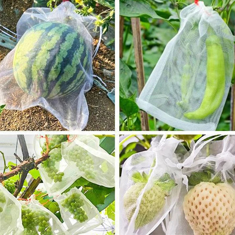 1-100Pcs Grapes Fruit Grow Bags