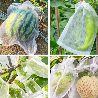 1-100Pcs Grapes Fruit Grow Bags