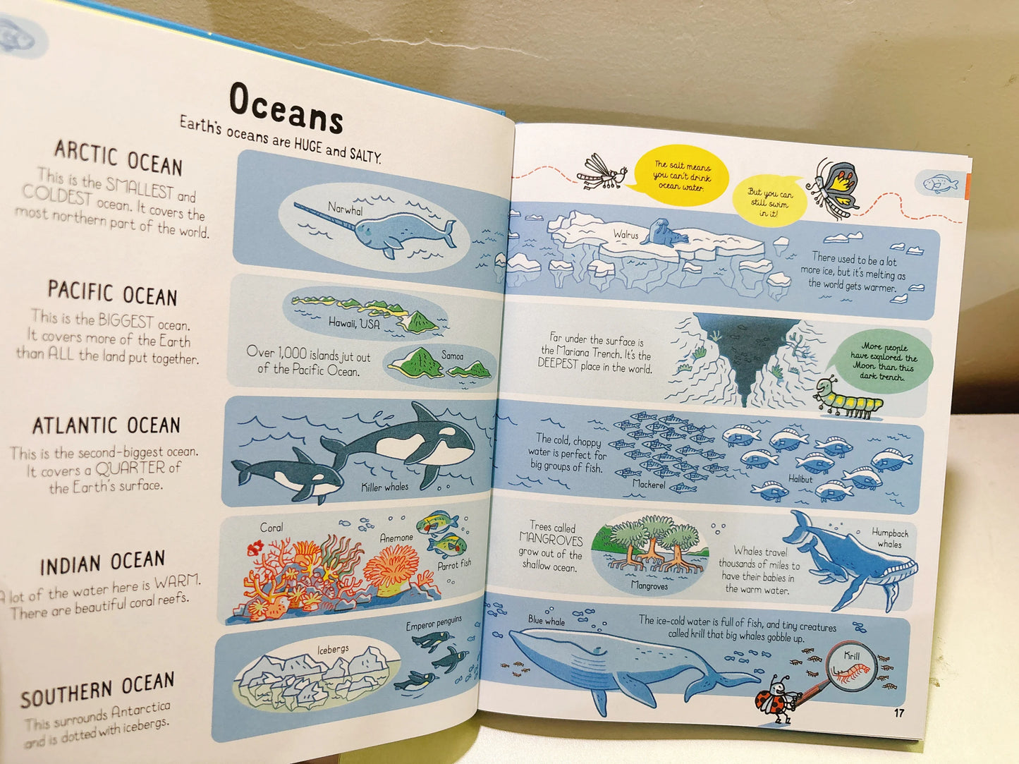 All You Need to Know About Our World by Age 7