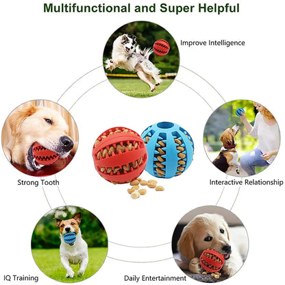 Interactive Treat Dispensing Dog Ball