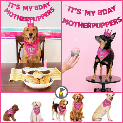 Dog Birthday Party Bandana Set