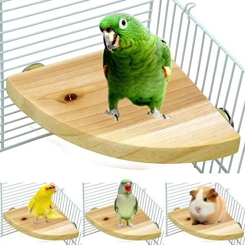 Wooden Bird Perch Platform Stand