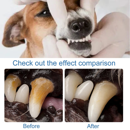 Pet Dental Tartar Remover Foam for Dogs & Cats
