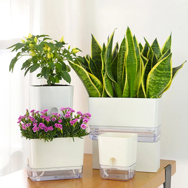 Self-Watering Plant Pot