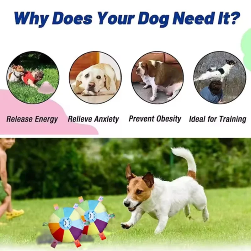 Dog Plush Squeaky Chew Toy