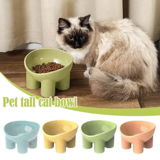Elevated Tilted Pet Feeding Bowl