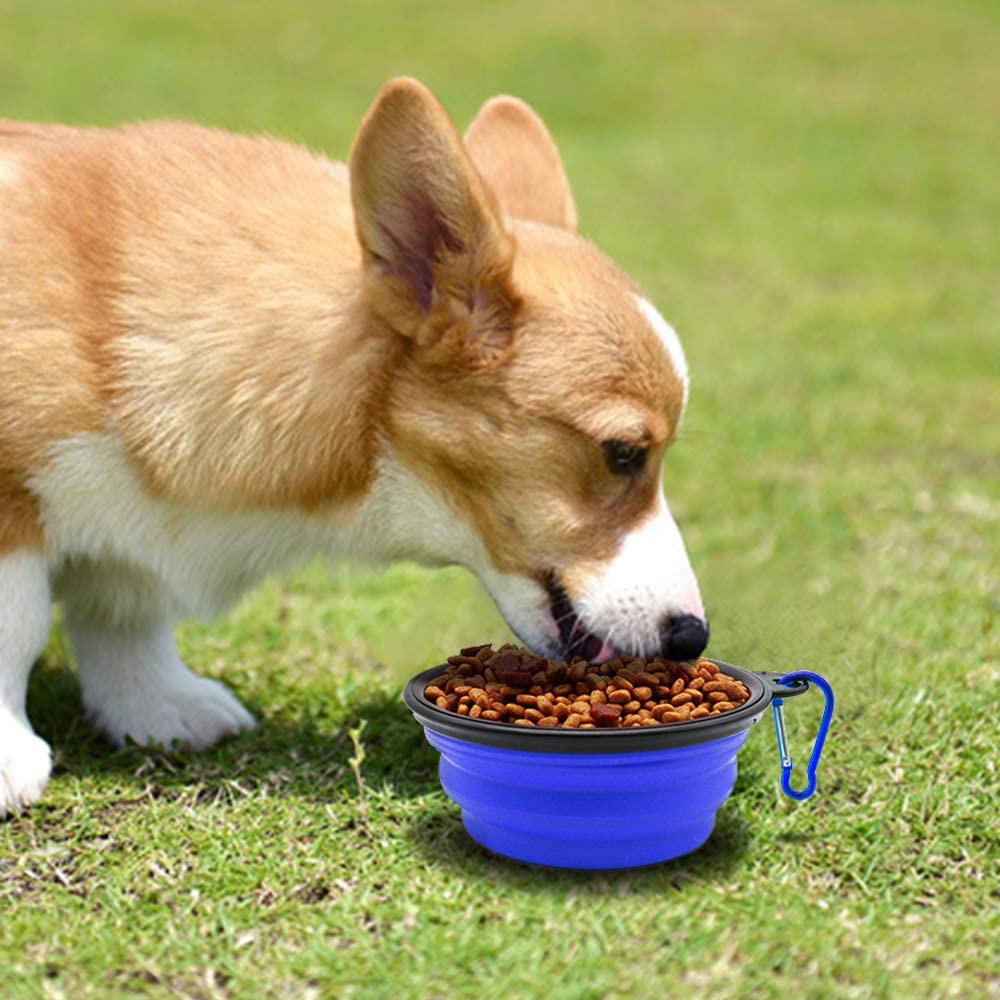 1000ML Silicone Dog Feeder Bowl